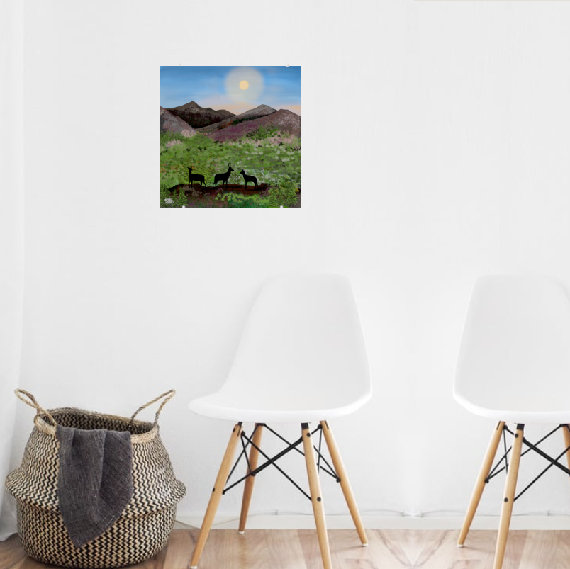 Summer in the Highlands