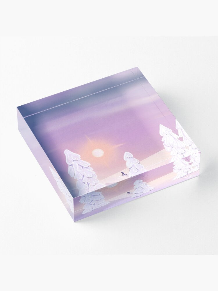 Skiing in a winter wonderland