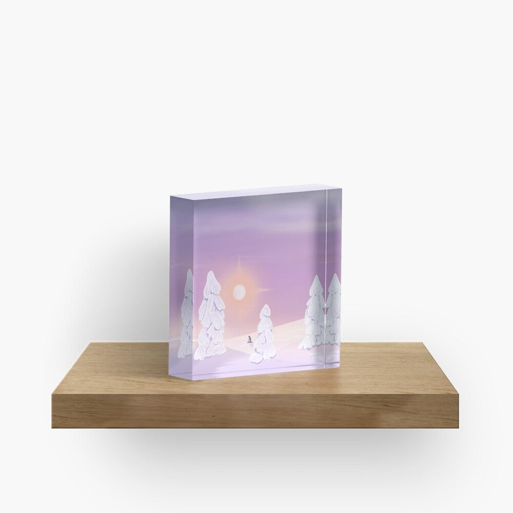 Skiing in a winter wonderland