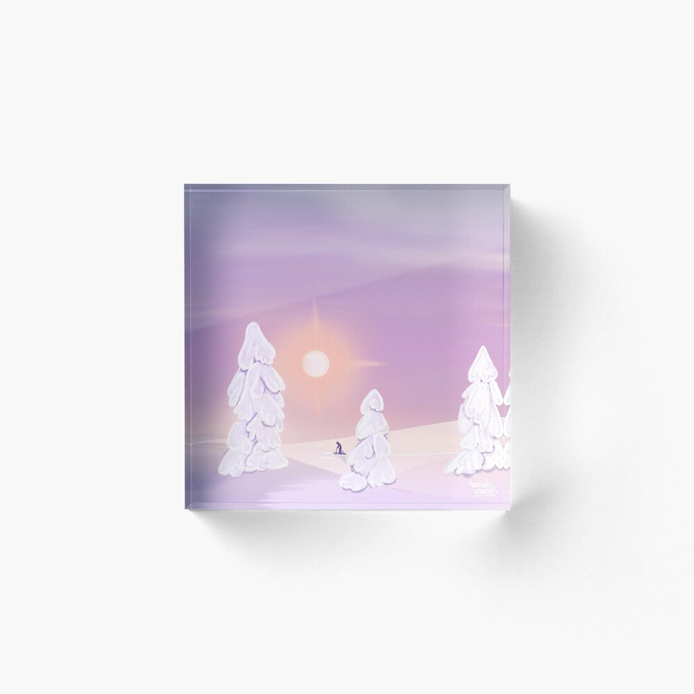 Skiing in a winter wonderland