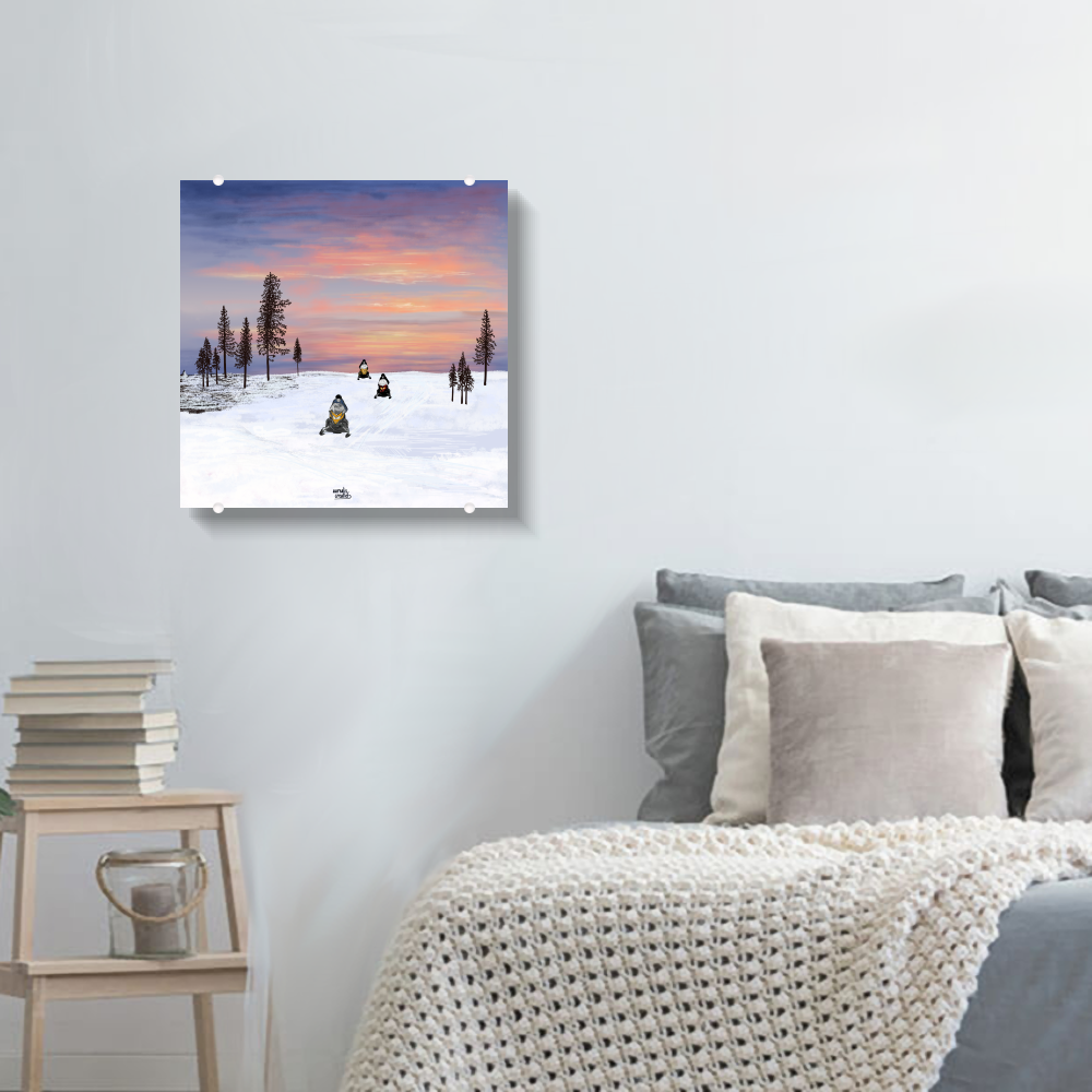 Sneeuwscooter Avontuur – Zonsondergang