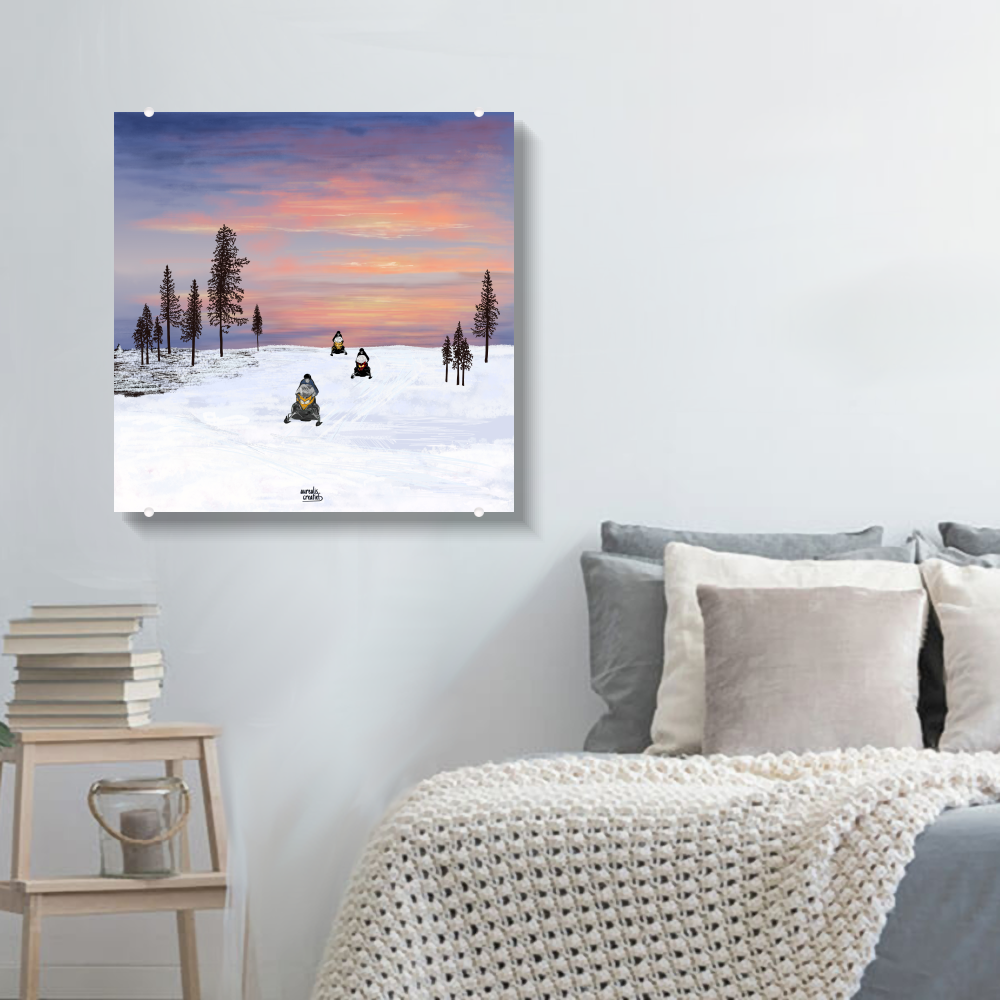 Sneeuwscooter Avontuur – Zonsondergang