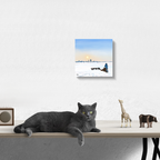 Husky Adventure - Sunrise