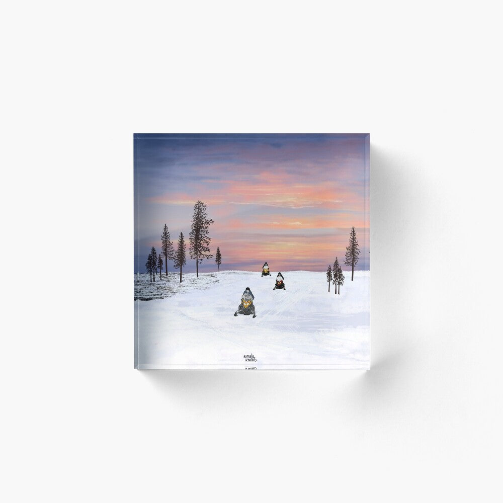 Sneeuwscooter Avontuur – Zonsondergang