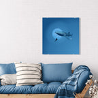 A scuba diver and a curious whale shark