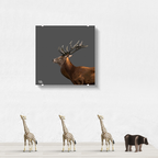 Red deer