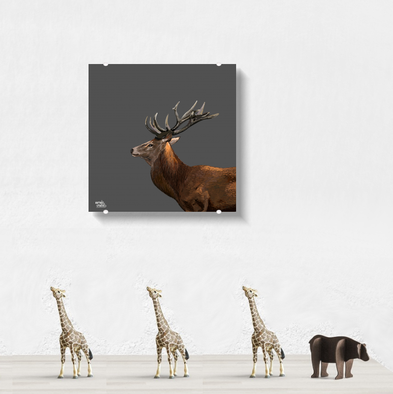 Red deer