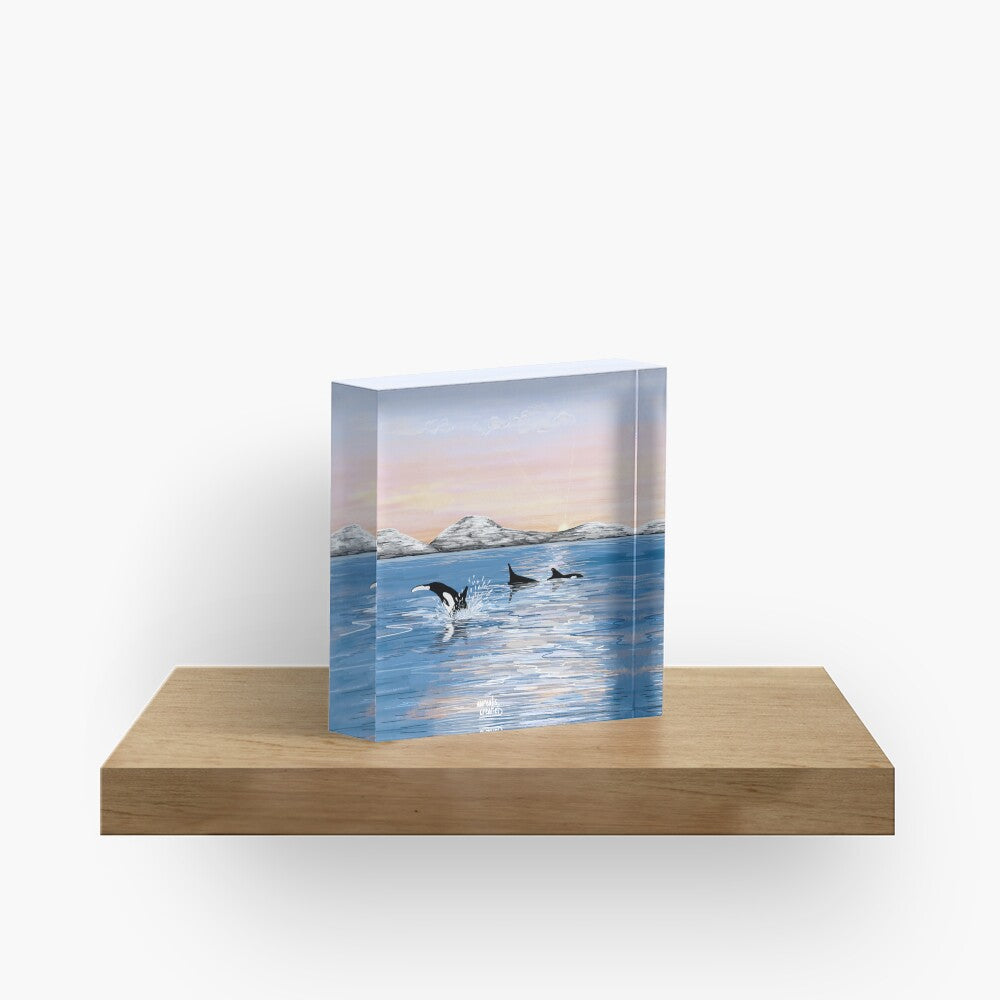 Walvissafari - Arctische schemering
