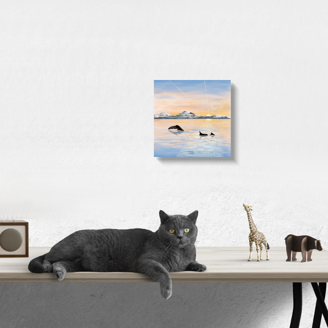 Whale Safari - Calm Spring