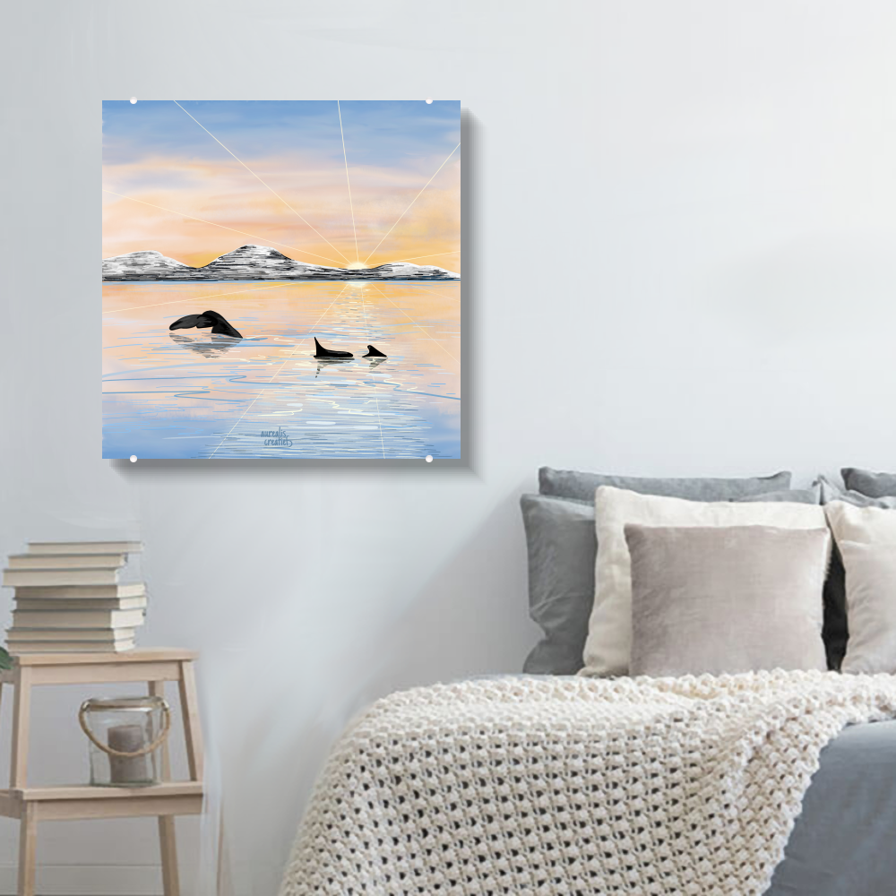 Whale Safari - Calm Spring