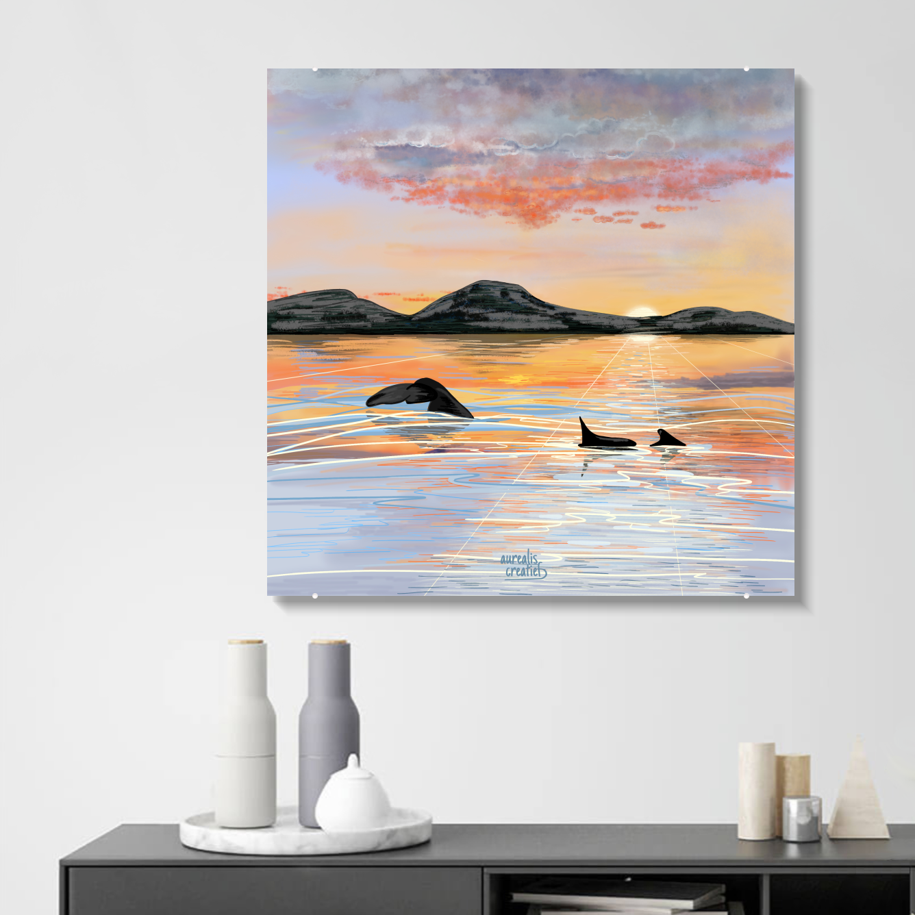 Whale Safari - Midnightsun