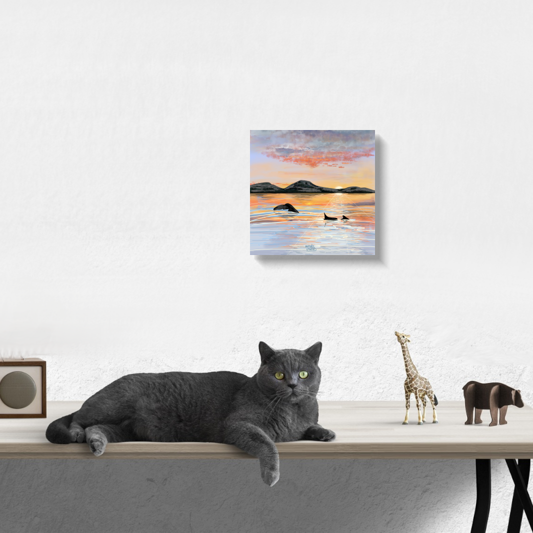 Whale Safari - Midnightsun