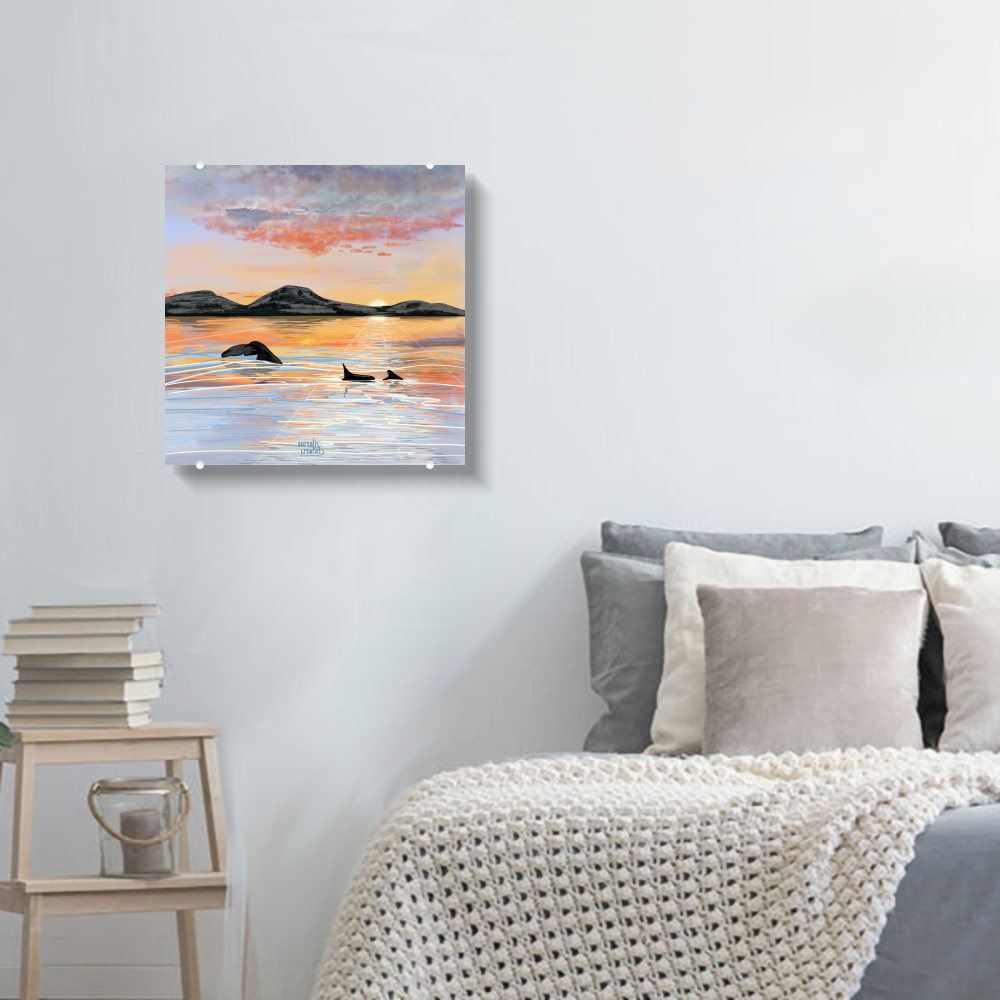 Whale Safari - Midnightsun