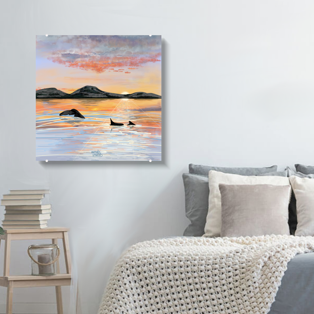 Whale Safari - Midnightsun