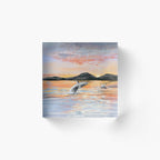 Whale Safari - Midnightsun