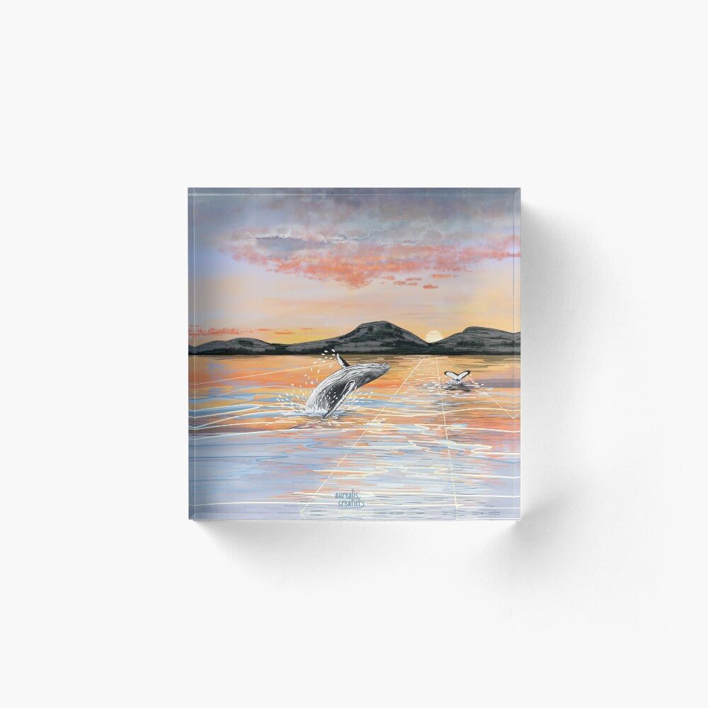 Walvissafari - middernachtzon