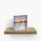 Whale Safari - Midnightsun