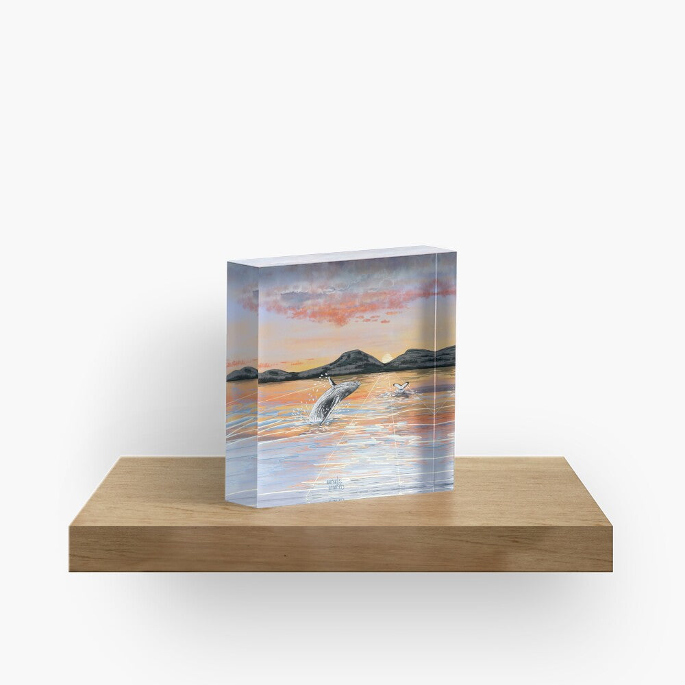 Walvissafari - middernachtzon