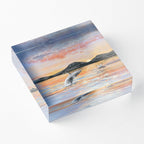 Whale Safari - Midnightsun