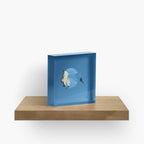 Duiker en zilveren visje