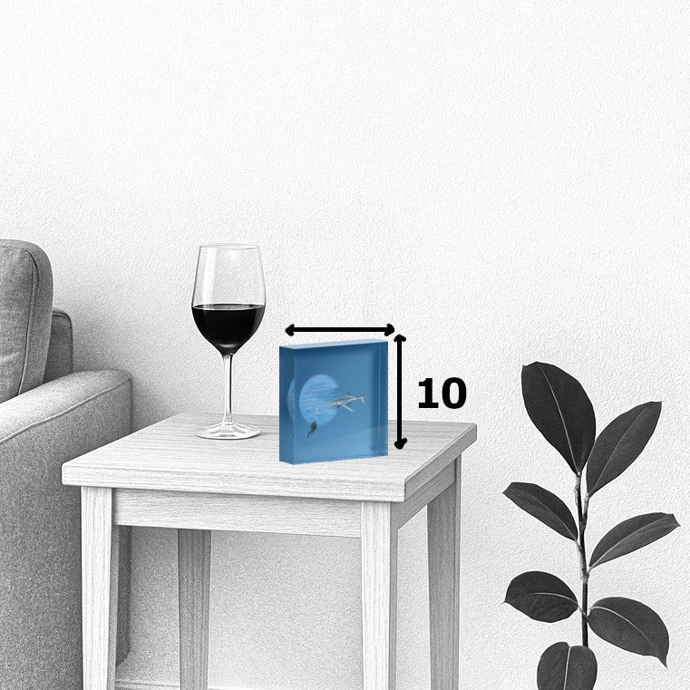 Shark in a deep blue sea.