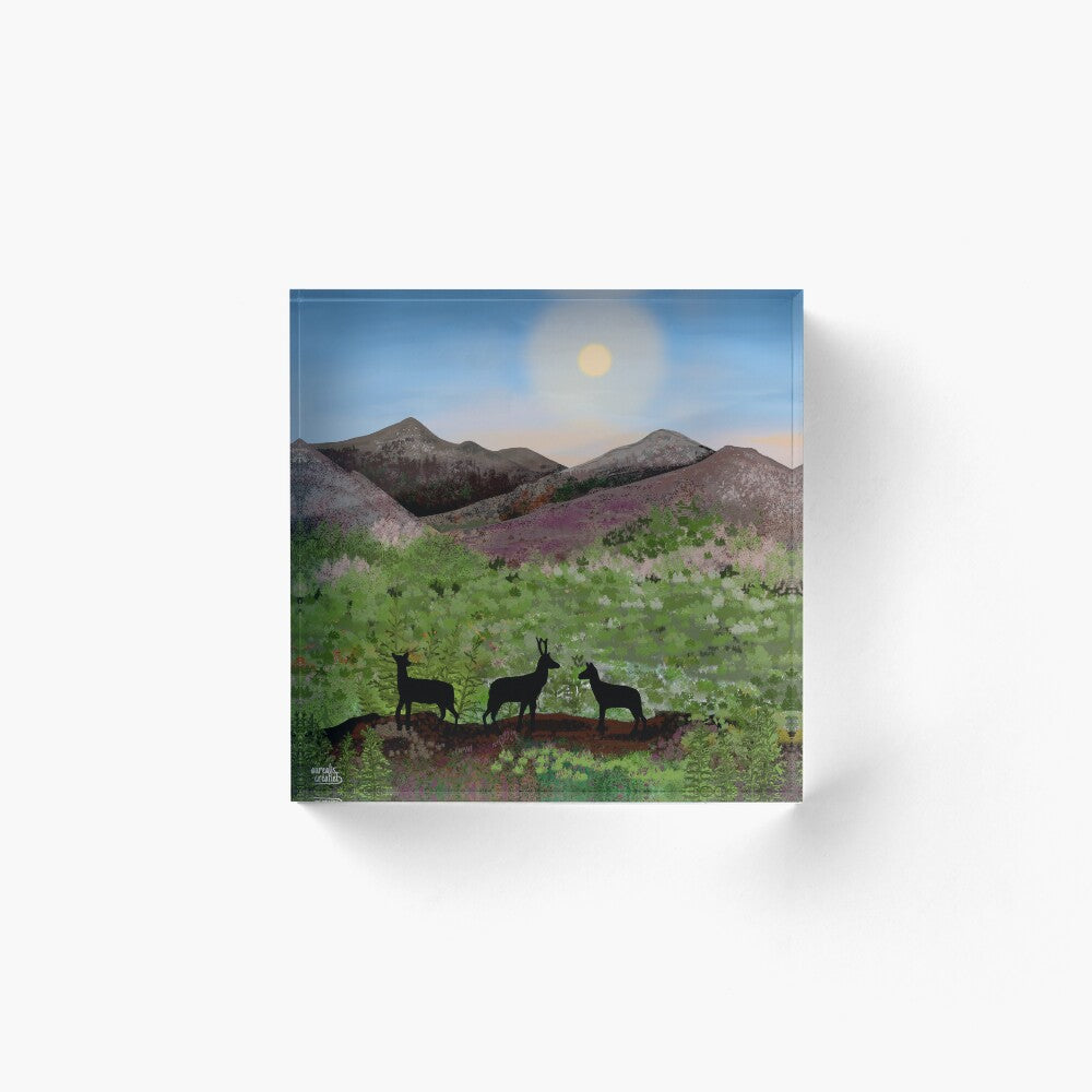 Summer in the Highlands