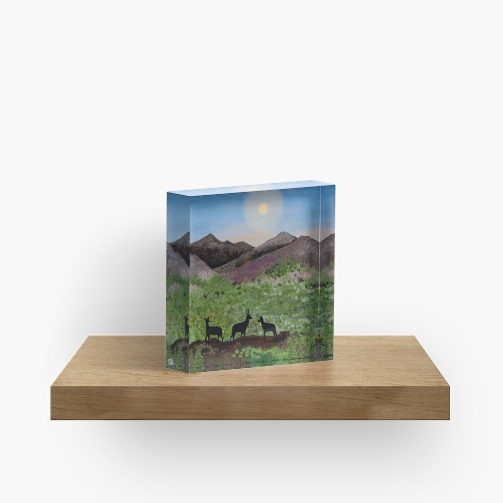 Summer in the Highlands