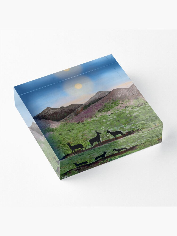 Summer in the Highlands