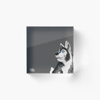 Husky hondje