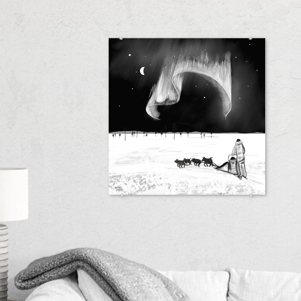 Husky Winter adventure