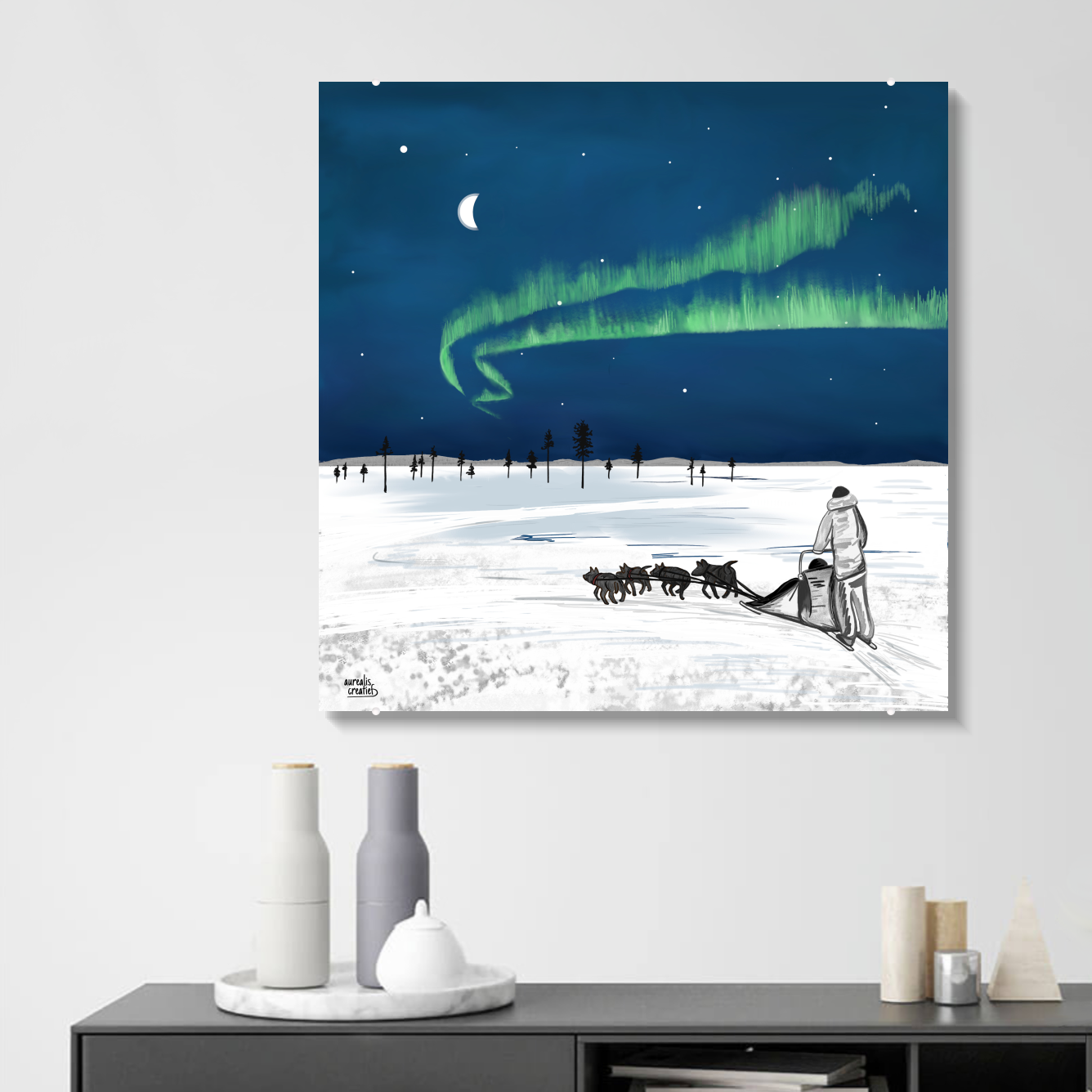 Husky Adventure – Northern Lights