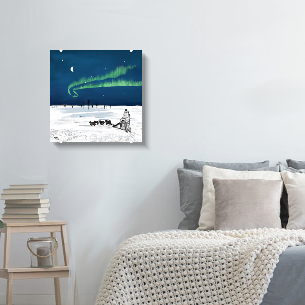 Husky Adventure – Northern Lights