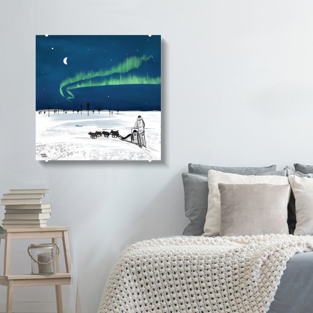 Husky Adventure – Northern Lights