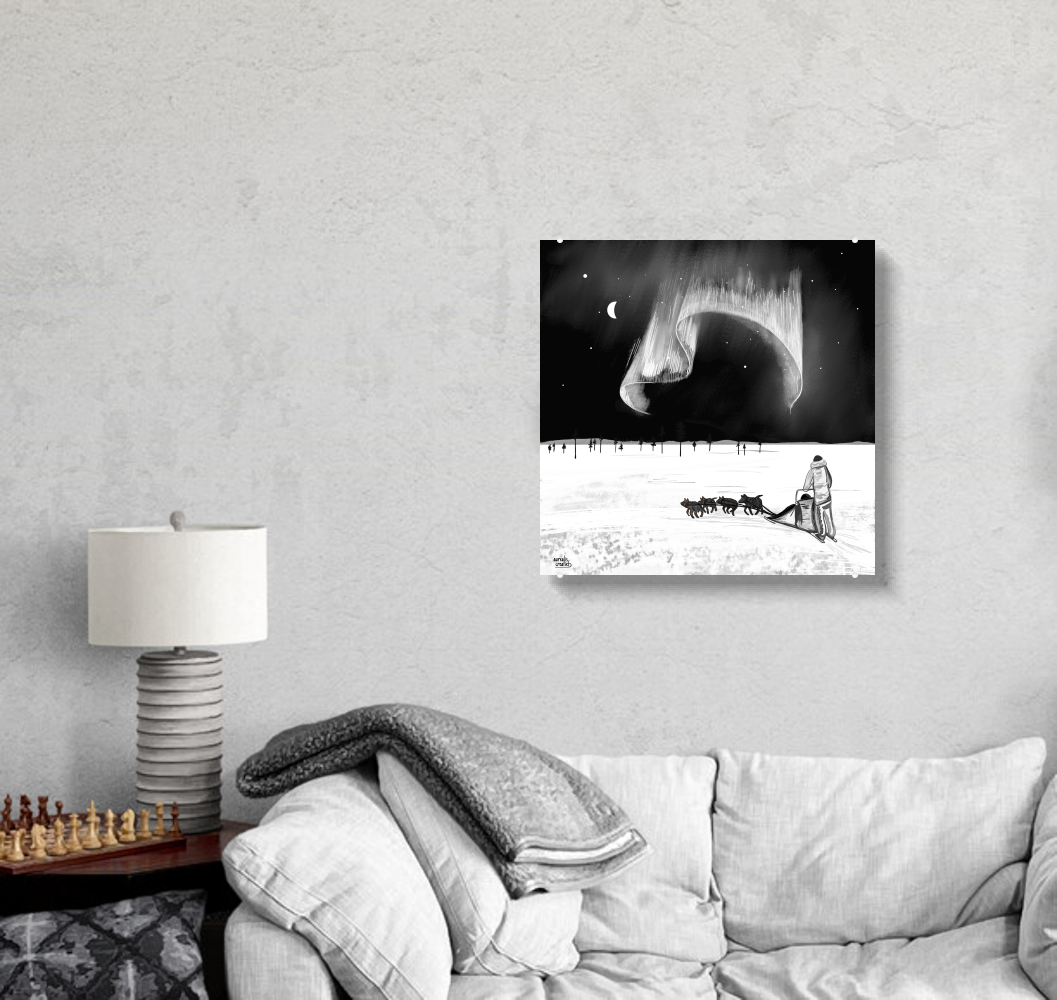 Husky Winter adventure