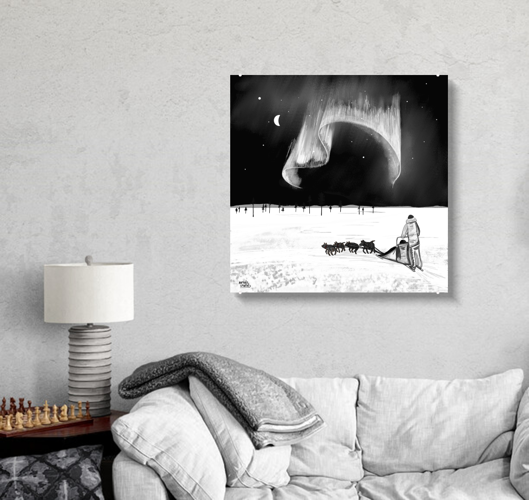 Husky Winter adventure