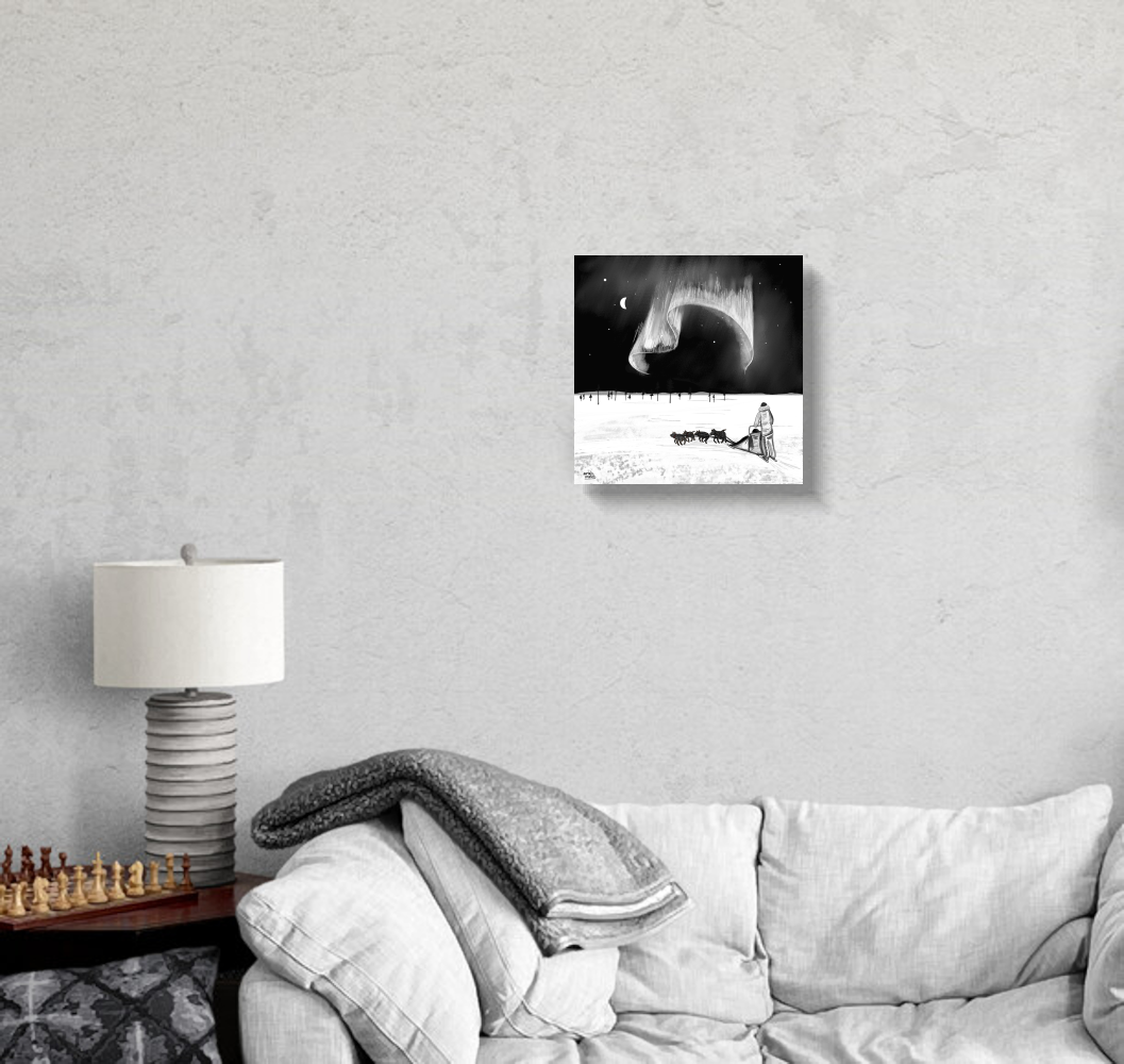 Husky Winter adventure