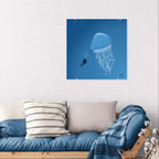 Glowing jellyfish