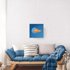 Nemo