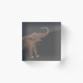 Olifant trompet