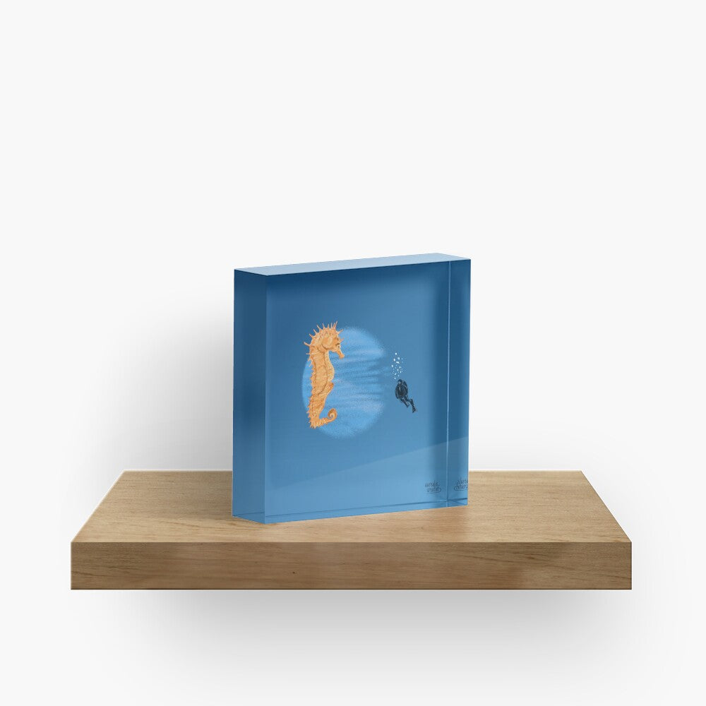 Scuba Diver & Seahorse