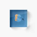 Scuba Diver & Seahorse